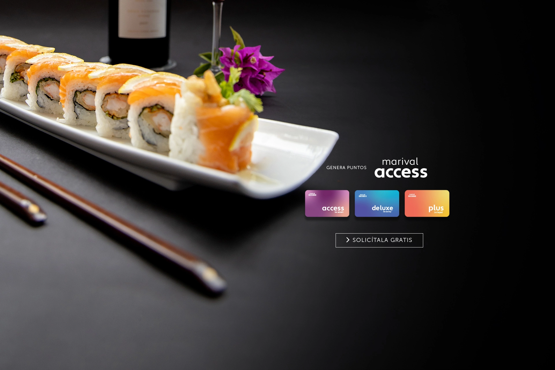 Nicksan Nuevo Vallarta