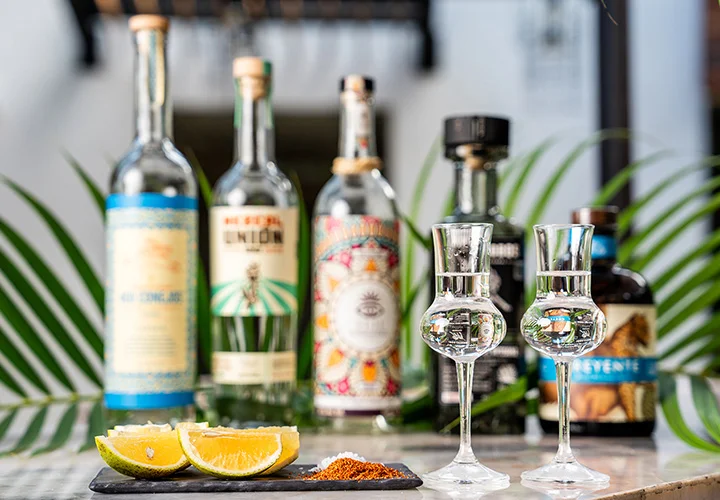 Nicksan Nuevo Vallarta