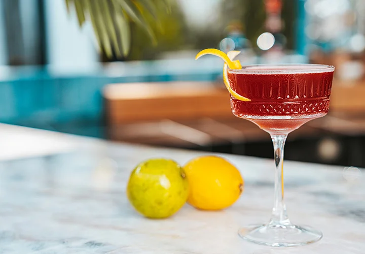 Nicksan Nuevo Vallarta